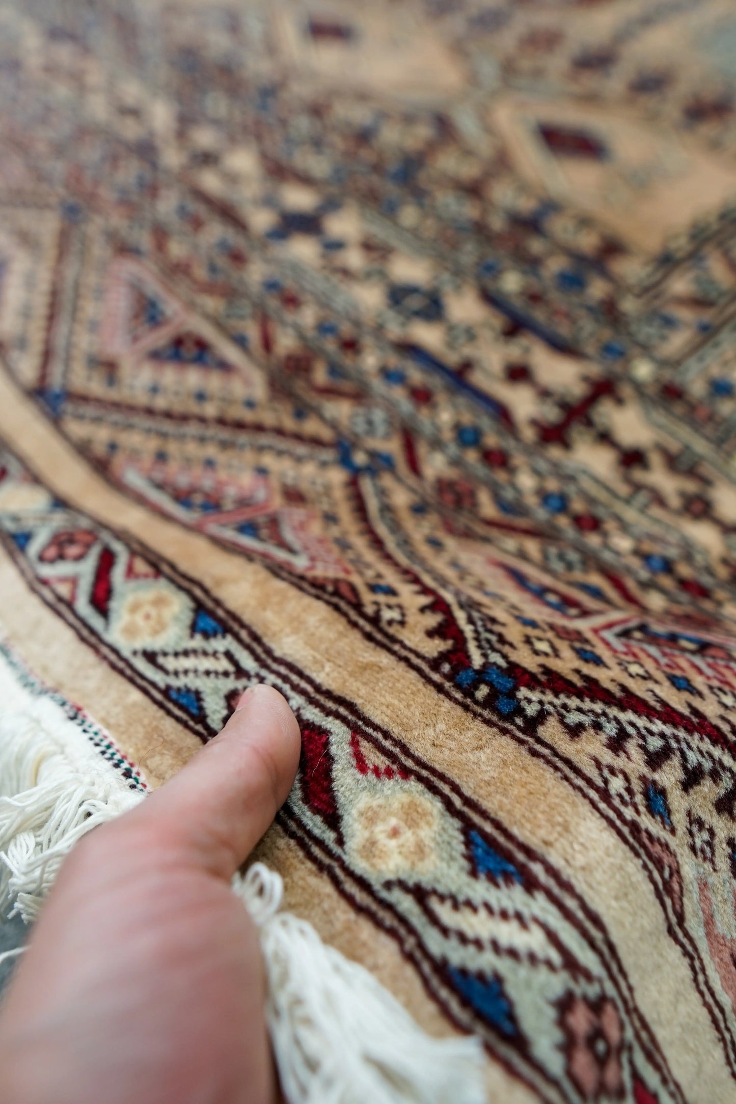 223×154cm【パキスタン手織り絨毯 Decorworks