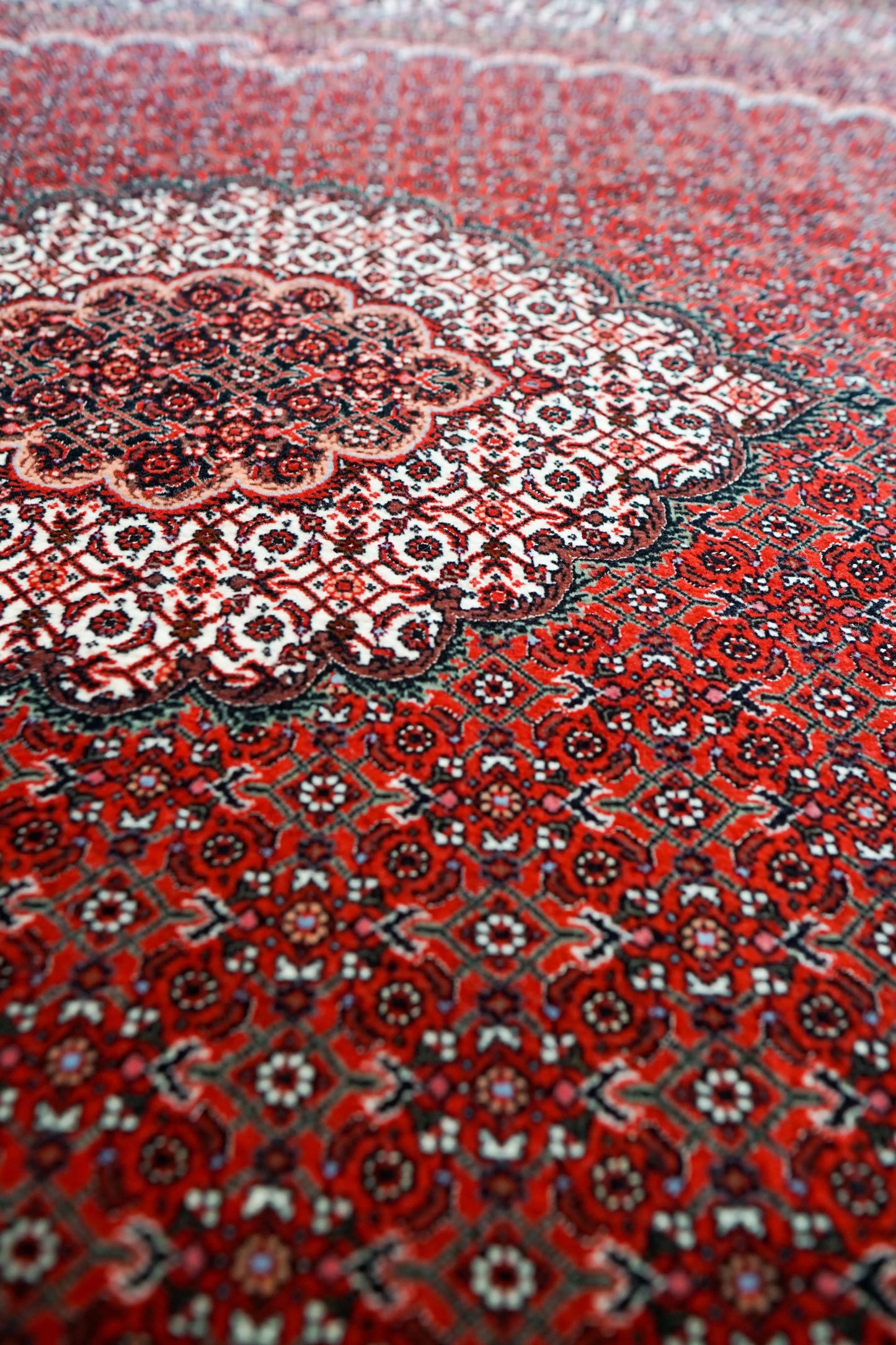 Collection ペルシャ絨毯 ビジャー 228×152cm 手織り ウール 高級 Fine Quality マヒ柄