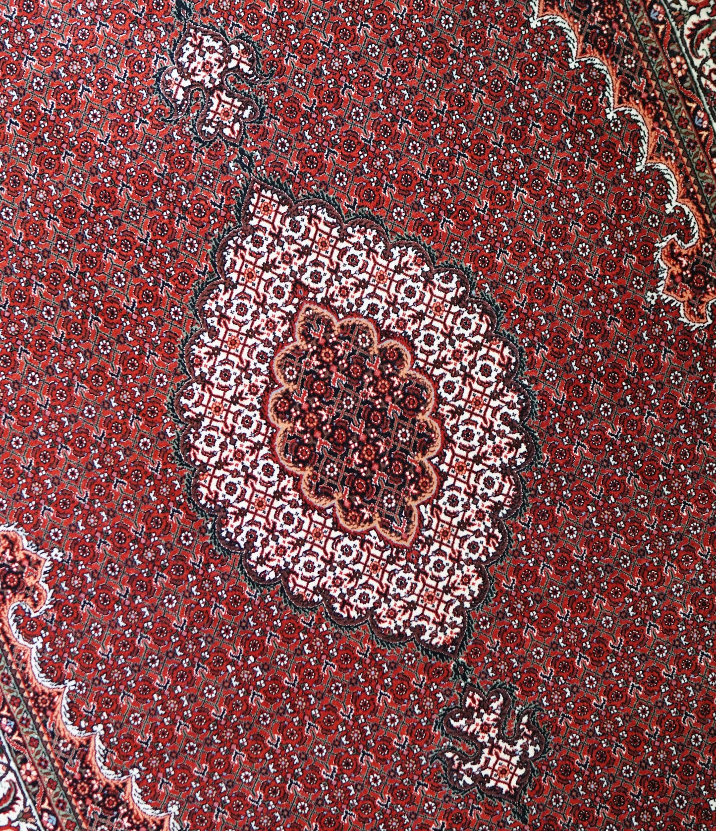 Collection ペルシャ絨毯 ビジャー 228×152cm 手織り ウール 高級 Fine Quality マヒ柄
