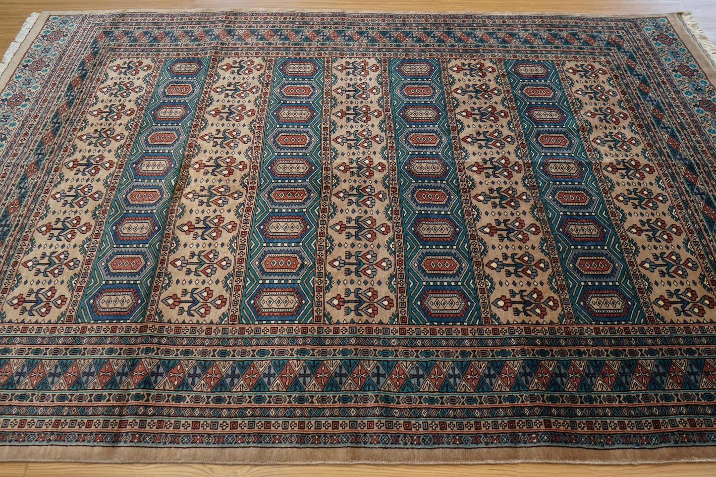Collection パキスタン手織り絨毯 229×151cm
