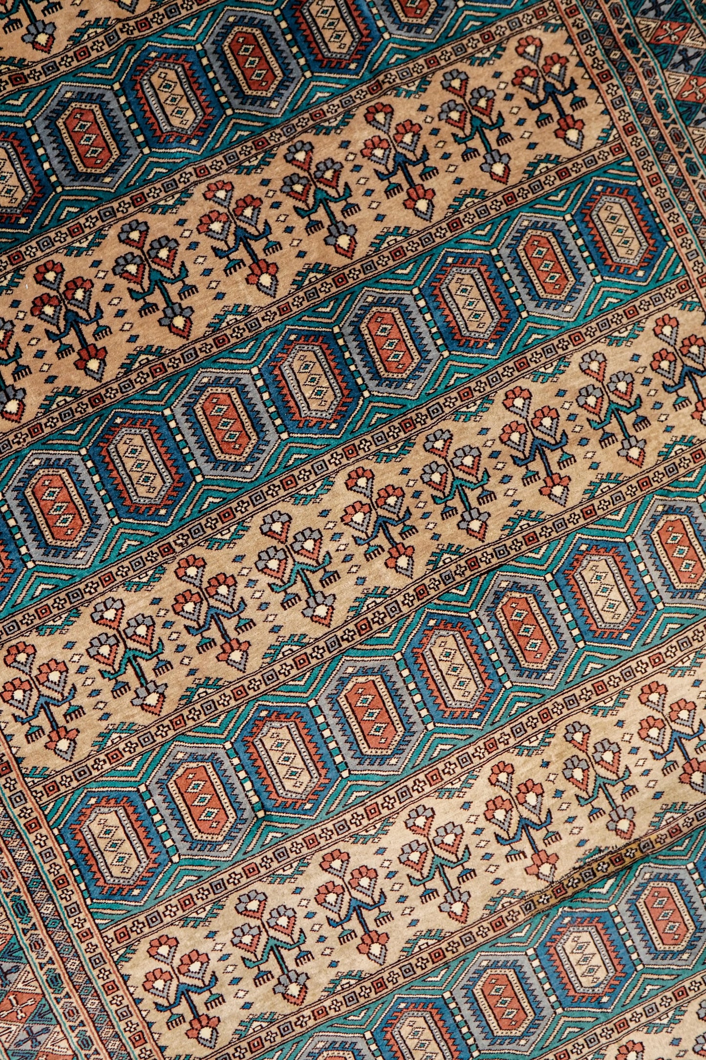 Collection パキスタン手織り絨毯 229×151cm