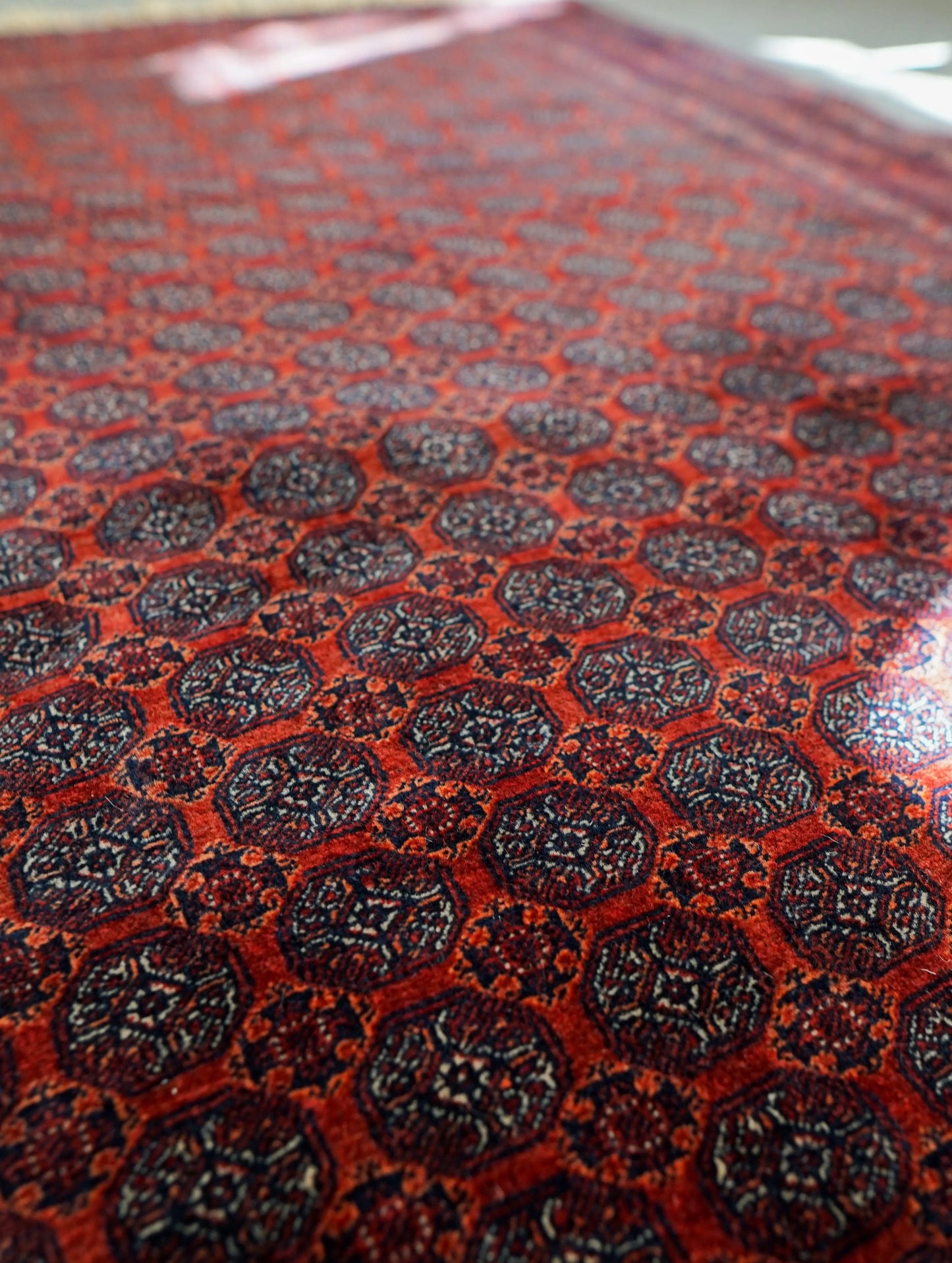 190×152cm アフガニウタン 手織り絨毯 ホジャロシュナイ Decorworks
