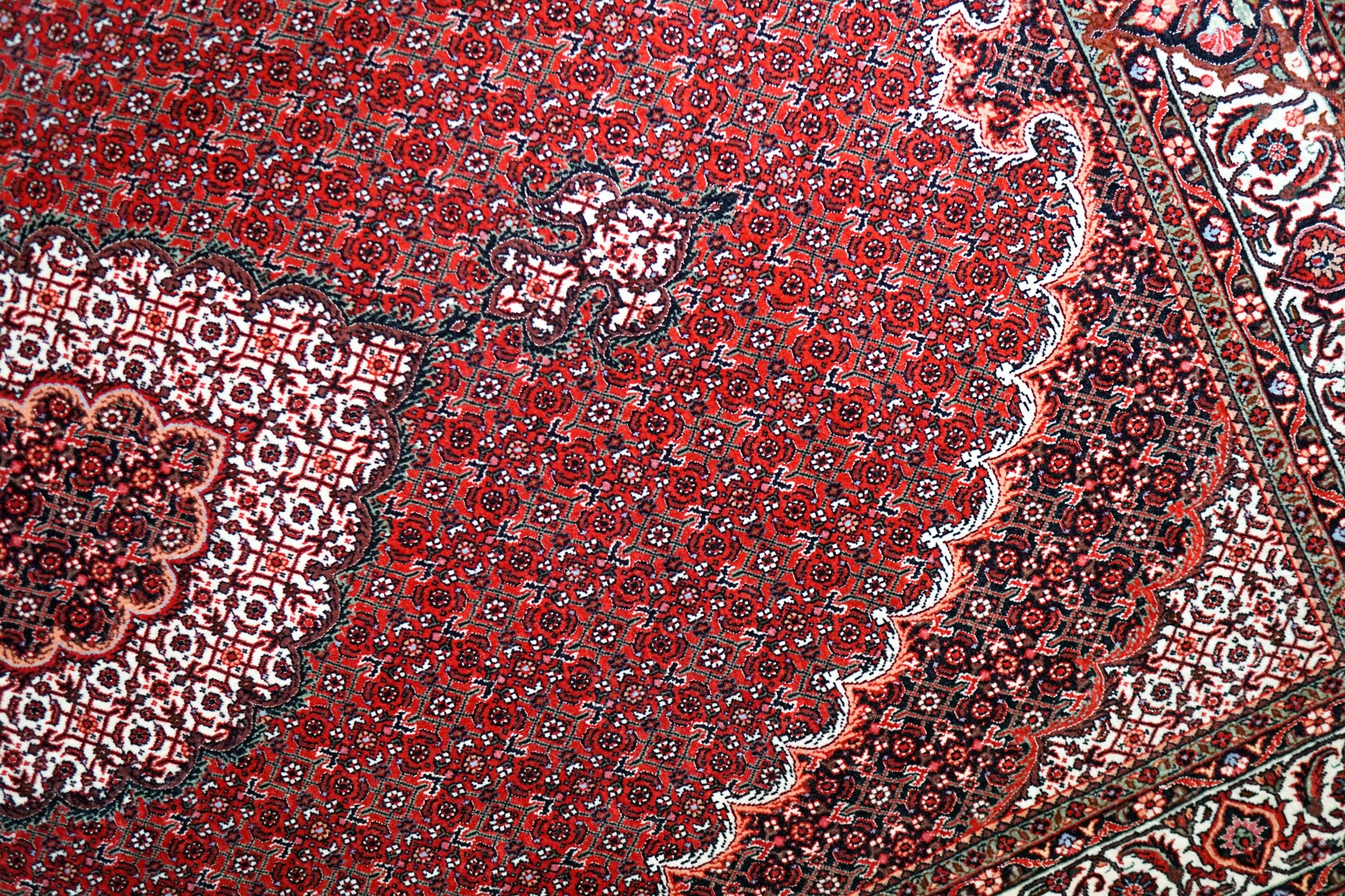 Collection ペルシャ絨毯 ビジャー 228×152cm 手織り ウール 高級 Fine Quality マヒ柄