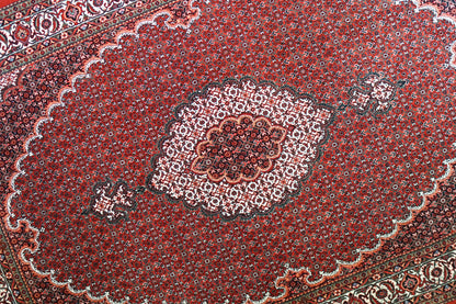 Collection ペルシャ絨毯 ビジャー 228×152cm 手織り ウール 高級 Fine Quality マヒ柄