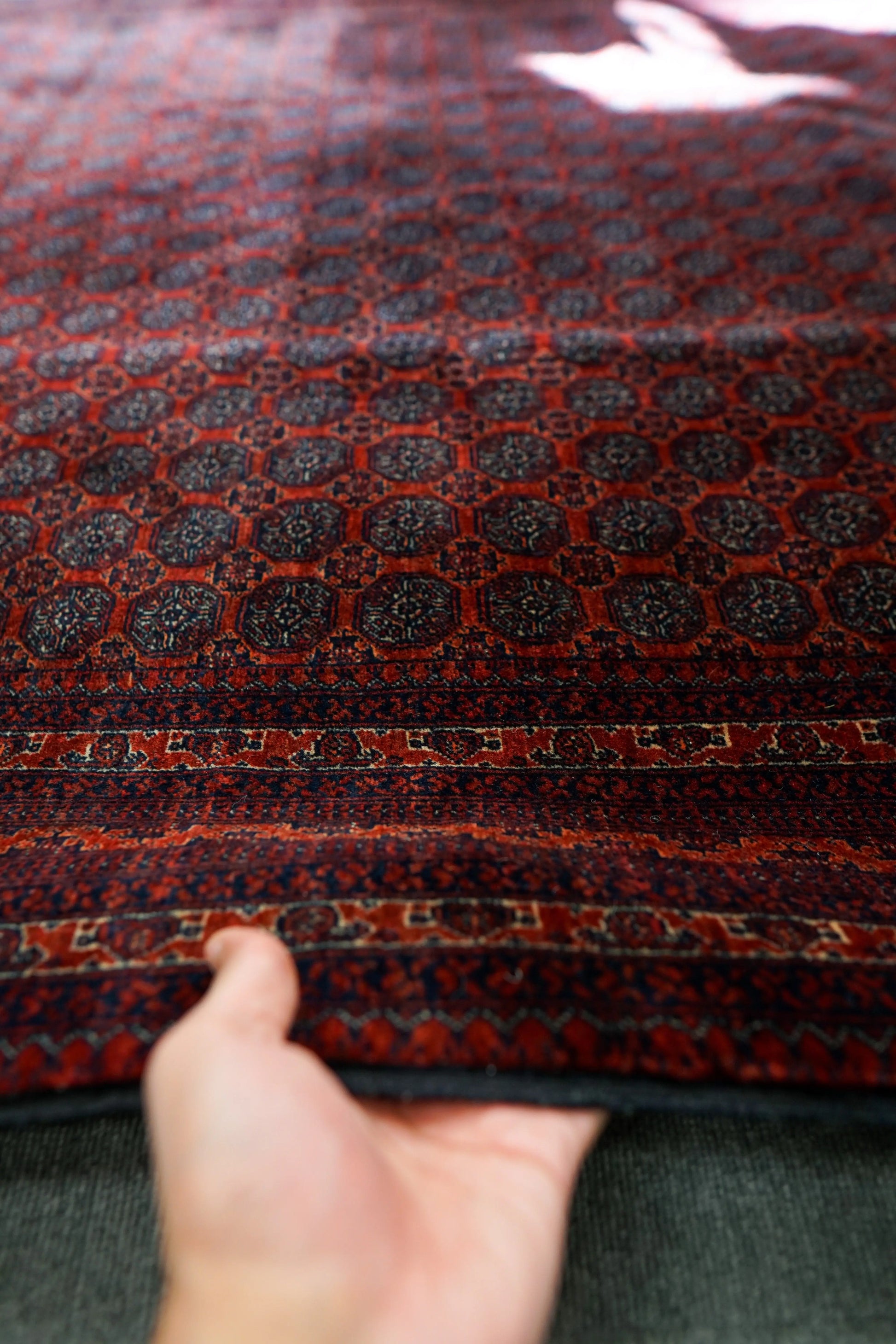 190×152cm アフガニウタン 手織り絨毯 ホジャロシュナイ Decorworks
