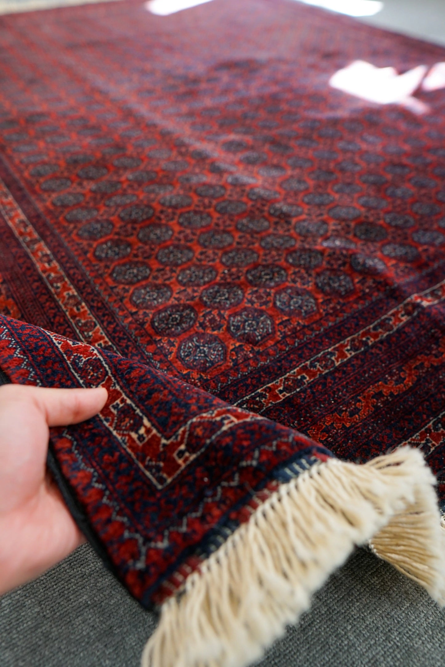 190×152cm アフガニウタン 手織り絨毯 ホジャロシュナイ Decorworks