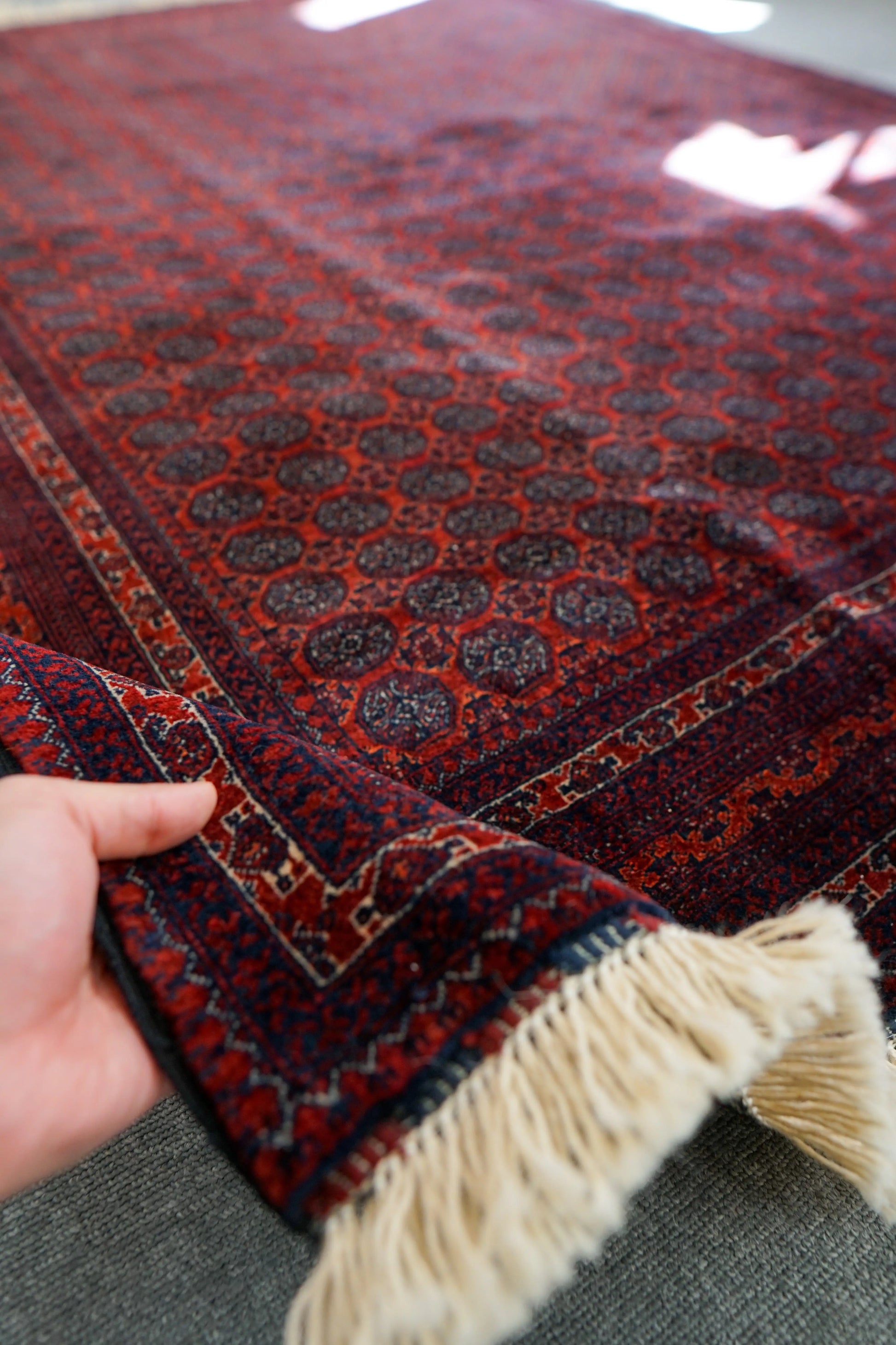 190×152cm アフガニウタン 手織り絨毯 ホジャロシュナイ Decorworks